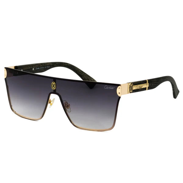 Premium Quality CRTR Sunglass | CRTR 04 C